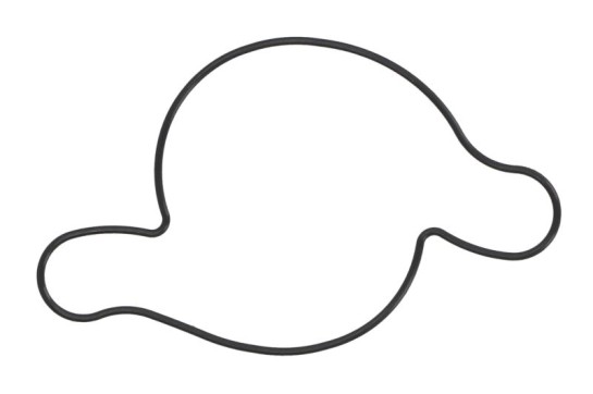 Těsnění vodní pumpy Tourmax CAGIVA 1000 Raptor / V-Raptor ro...