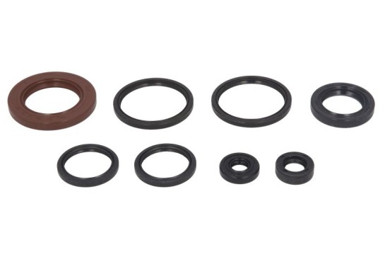 Sada gufer motoru ATHENA SUZUKI Burgman 200 rok 07-11 