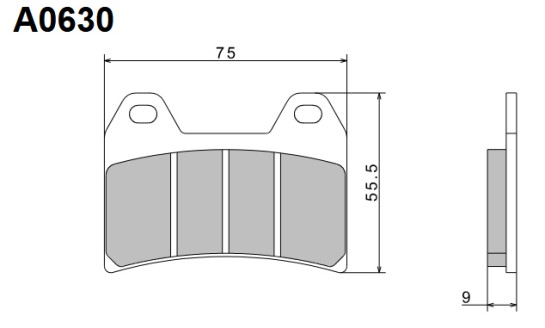 Brzdové destičky NISSIN přední BENELLI BN 302 rok 14