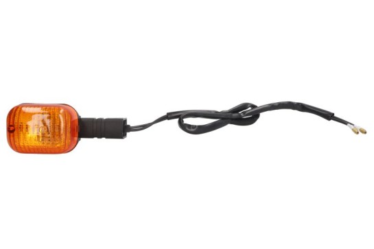 Blinkr pravý přední, levý zadní BMW F 650 GS, Dakar (01-07) rok 01-07 