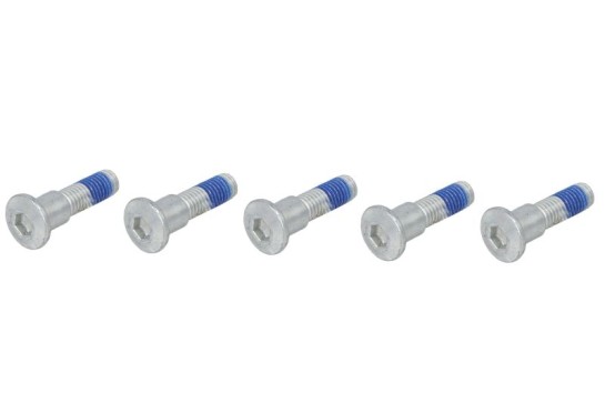 Sada šroubů brzdového kotouče SUZUKI GSF 1200 N, S Bandit ro...