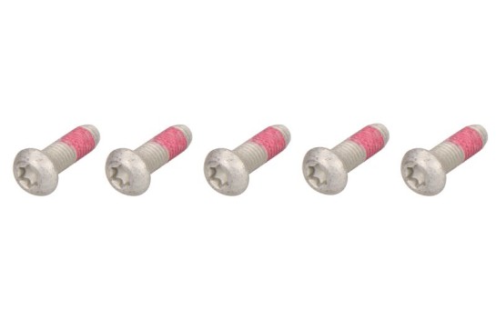 Sada šroubů brzdového kotouče BMW F 800 S rok 06-07