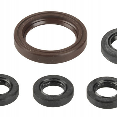 Sada gufer motoru ATHENA KTM 450 SX-F rok 03-06