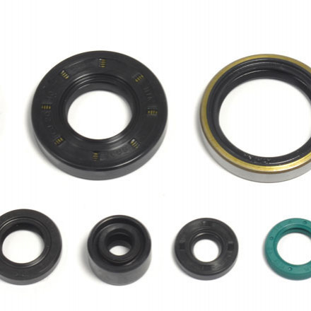 Sada gufer motoru ATHENA KAWASAKI KX 250 rok 93-04 