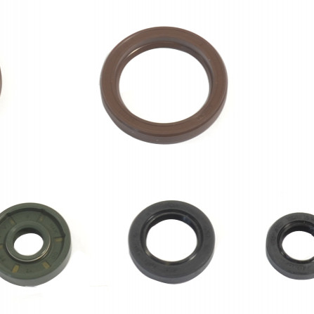 Sada gufer motoru ATHENA KTM 450 EXC rok 12-13