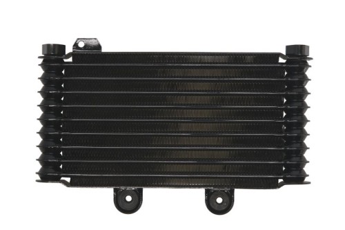 Chladič SUZUKI GSF 650 Bandit rok 05-06