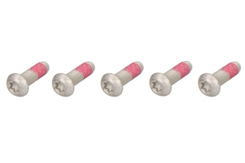 Sada šroubů brzdového kotouče BMW K 1200 RS rok 97-05