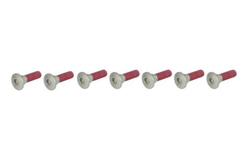 Sada šroubů brzdového kotouče KAWASAKI EN 500 Vulcan rok 94-02