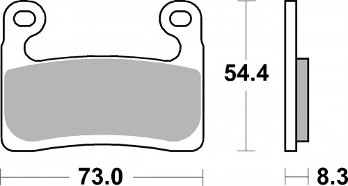 Brzdové destičky DP Brakes přední BMW R 1250 GS rok 19-21