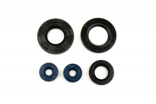 Sada gufer motoru ATHENA APRILIA Scarabeo 125 rok 99-02