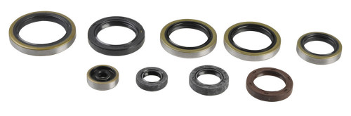 Sada gufer motoru ATHENA KTM 300 EXC rok 04-16