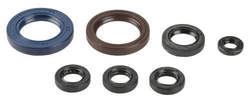 Sada gufer motoru ATHENA KTM 450 SX-F rok 03-06