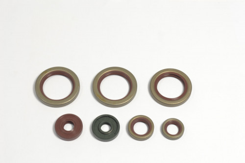 Sada gufer motoru ATHENA KTM 690 SMC , R rok 08-10