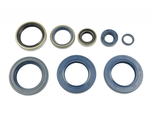 Sada gufer motoru ATHENA KTM 625 SMC rok 03-06