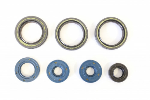 Sada gufer motoru ATHENA APRILIA 125 RS rok 95-10