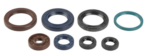 Sada gufer motoru ATHENA KTM 250 SX-F rok 06-12