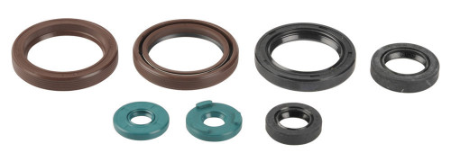 Sada gufer motoru ATHENA KTM 400 EXC rok 09-11
