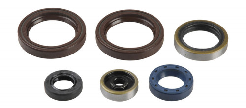 Sada gufer motoru ATHENA KTM 200 EXC rok 98-15