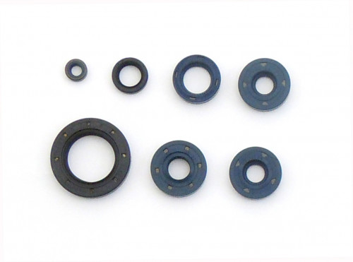 Sada gufer motoru ATHENA BMW F 650 Dakar (99-00) rok 93-98