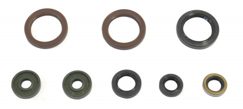 Sada gufer motoru ATHENA KTM 450 SMR rok 13-15