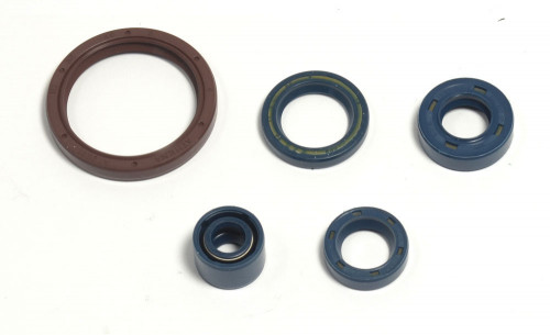 Sada gufer motoru ATHENA HUSQVARNA 450 SM rok 03-06